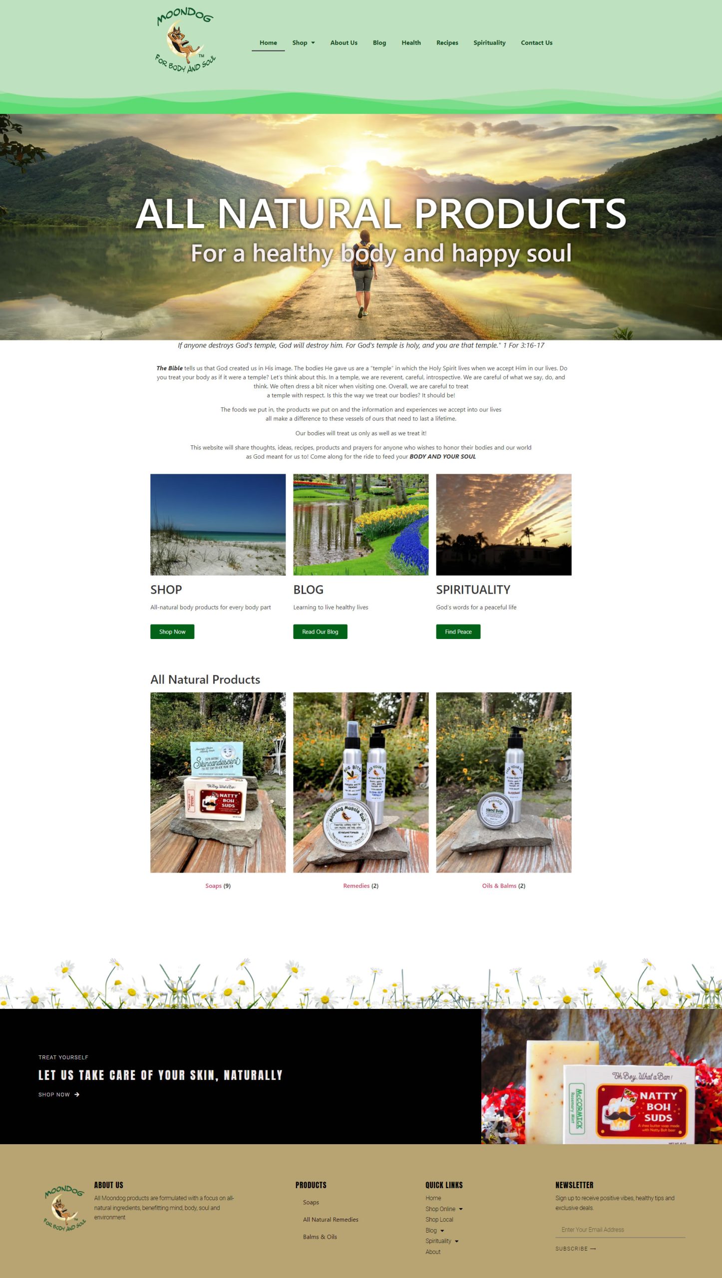 Ecommerce web design example in Baltimore by Maryland Web Design